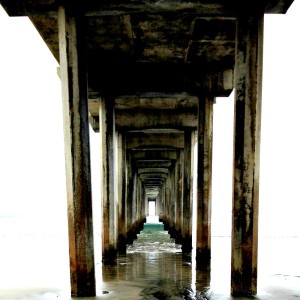 Under the Dock